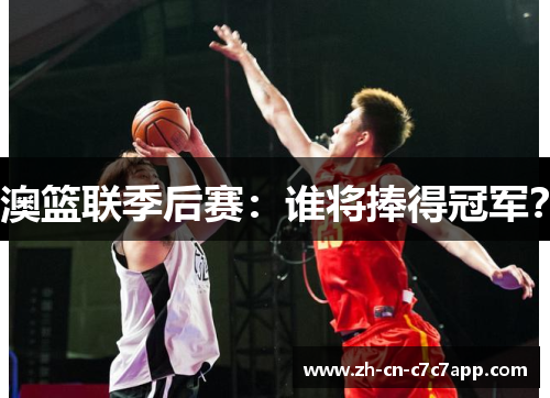 澳篮联季后赛：谁将捧得冠军？